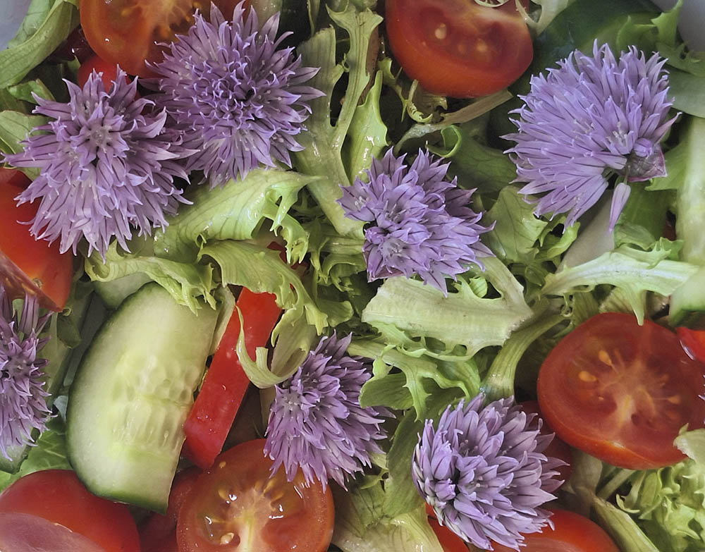 Blandet salat med purlgsblomster