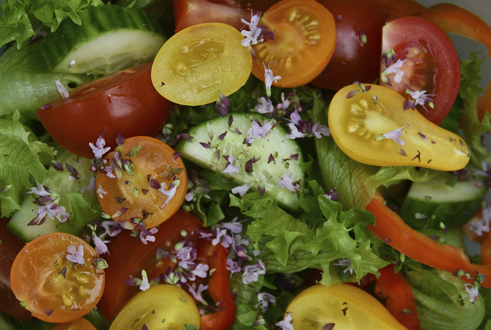 Oregano blomster i blandet salat