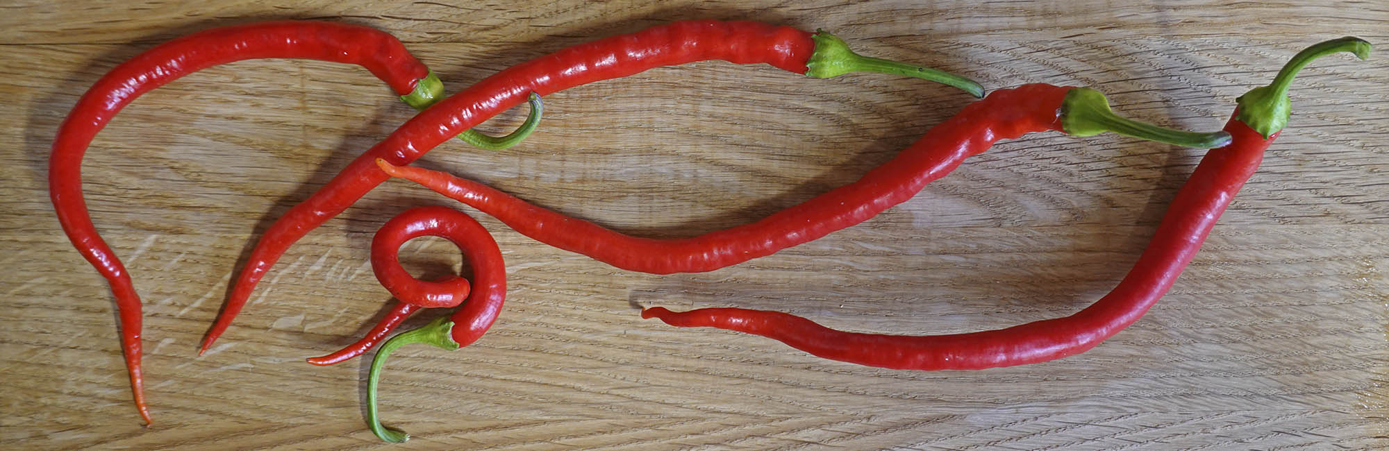 Chili Milder Spiral, Capsicum annuum