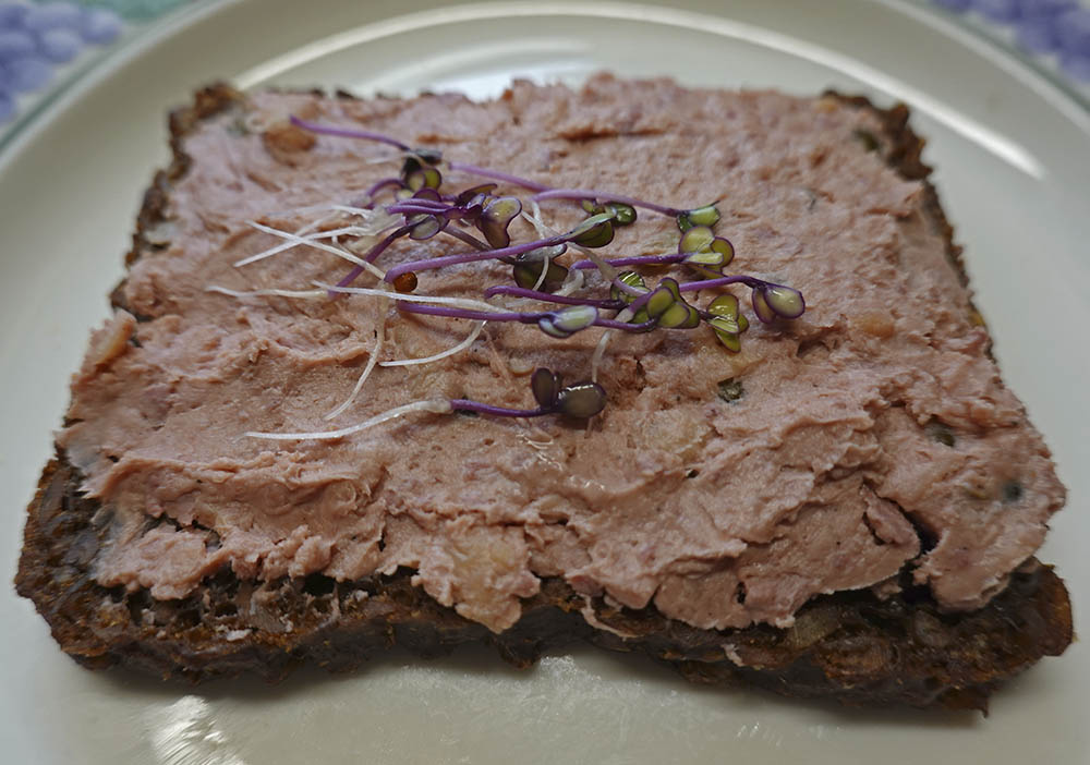Knudekål spirer.
