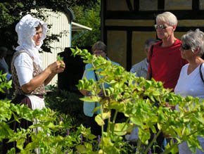 Rundvisning i haverne i den gamle by