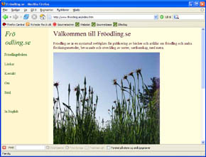frodling.se