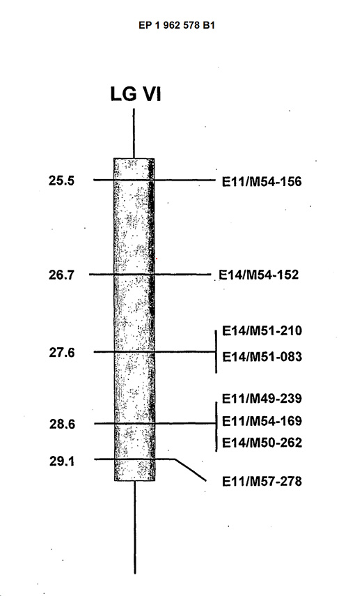 DNA markrer, European Patent EP1962578