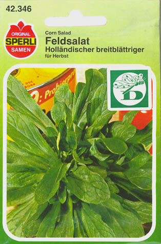 Vrsalat, Hollndischer Breitblttiger, Valerianella