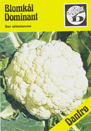 Blomkl, Dominant, Brassica oleracea </i>L. var. <i>botytris