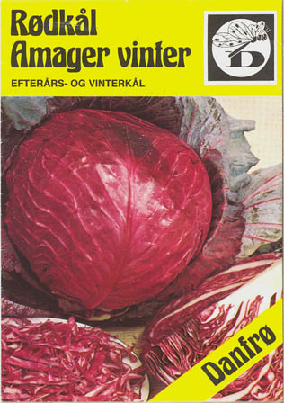 Rdkl, Amager, Brassica oleracea </i>L. var. <i>rubra