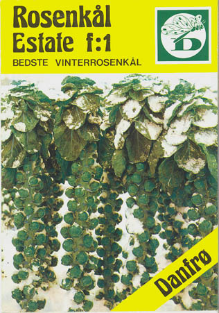 Rosenkl, Estate F1, Brassica oleracea </i>L. var. <i>gemmifera