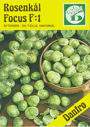 Rosenkl, Focus F1, Brassica oleracea </i>L. var. <i>gemmifera