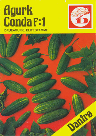 Agurk, Conda F1, Cucumis sativus </i>L.<i>