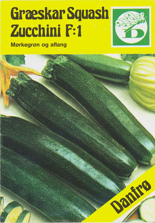 Squash, Zucchini F1, Cucurbita pepo </i>L.<i>