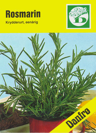 Rosmarin, Rosmarin, Rosmarinus officinalis </i>L.<i>