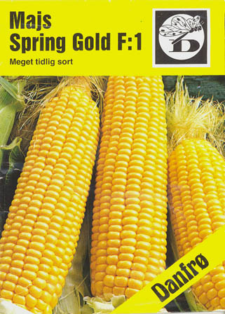 Majs, Spring Gold F1, Zea Mays </i>L.<i>