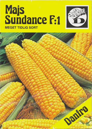 Majs, Sundance F1, Zea Mays </i>L.<i>