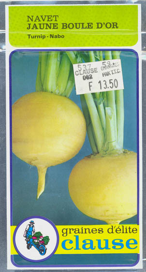 Majroe, Jaune Boule d'or, Brassica rapa </i>L. subsp.<i> rapa