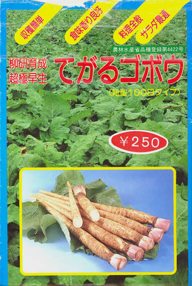 Japansk burre, Gobo, Arctium lappa </i>L. var.<i> edule