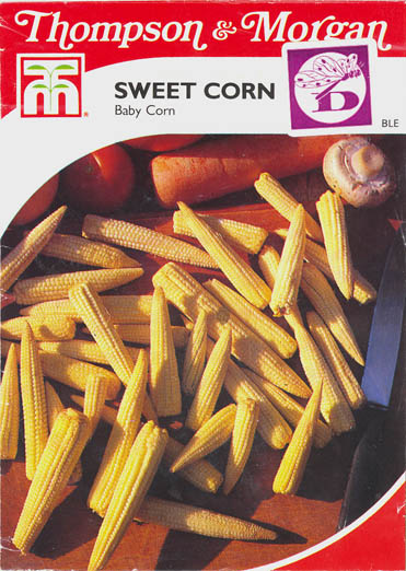 Majs, Baby Corn, Zea Mays </i>L.<i>