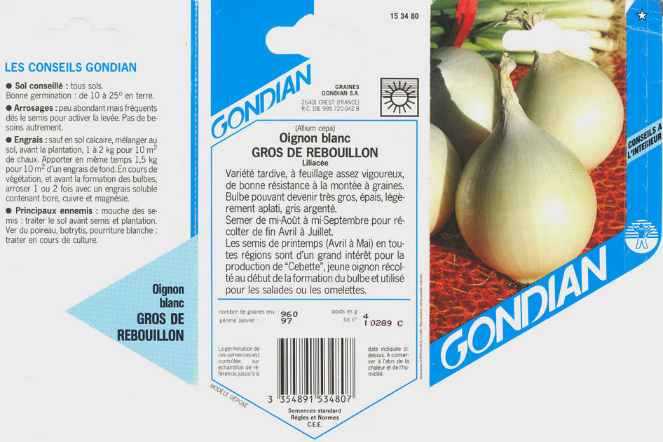 Kepalg, Gros de Rebouillon, Allium cepa </i>L.<i>