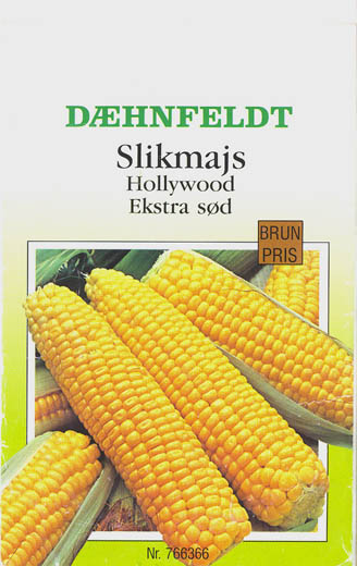 Majs, Hollywood, Zea Mays </i>L.<i>