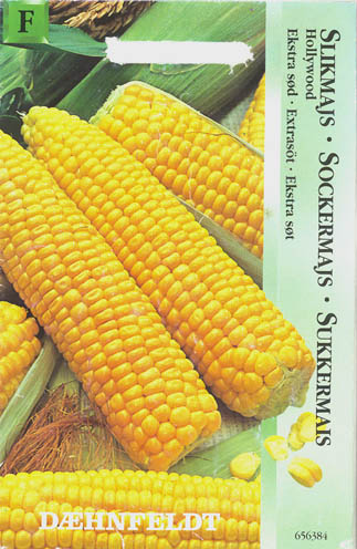 Majs, Hollywood, Zea Mays </i>L.<i>