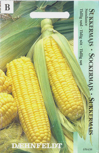 Majs, Sundance F1, Zea Mays </i>L.<i>