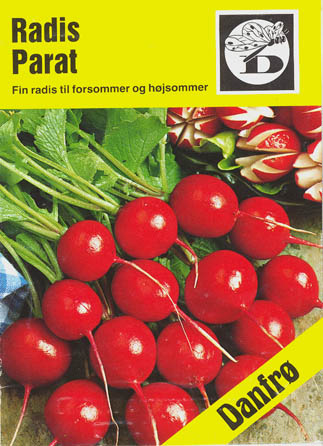 Radis, Parat, Raphanus sativa </i>L.<i>