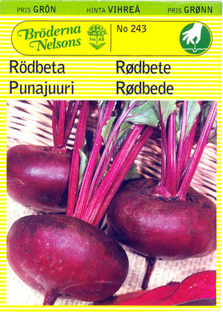 Rdbede, Egyptische Platrunde, Beta vulgaris </i>L. var.<i> vulgaris