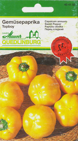 Peberfrugt (Spansk peber), Top Boy, Capsicum annuum </i>L.<i>