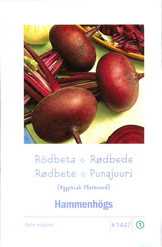 Rdbede, Egyptische Platrunde, Beta vulgaris </i>L. var.<i> vulgaris