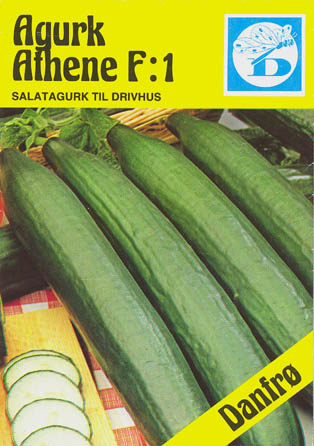 Agurk, Athene F1, Cucumis sativus </i>L.<i>