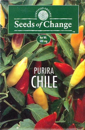 Chilipeber, Purira, Capsicum annuum </i>L.<i>