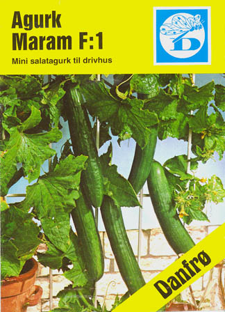 Agurk, Maram F1, Cucumis sativus </i>L.<i>