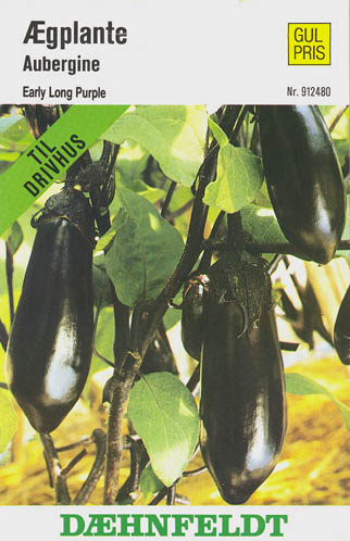 Aubergine, Early Long Purple, Solanum melongena </i>L.<i>