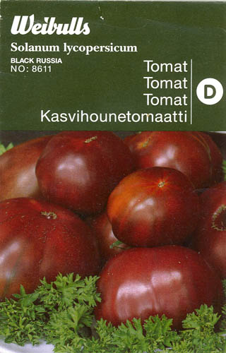 Tomat, Black Russia, Solanum lycopersicum</i> L<i>