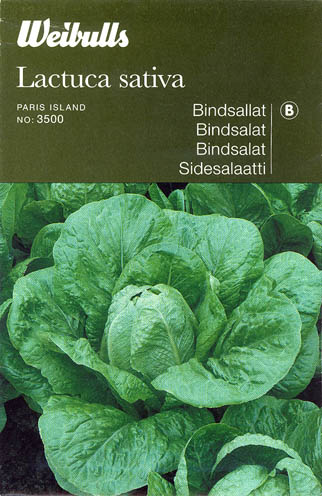 Havesalat, romersalat, Parris Island, Lactuca sativa </i>L. var. <i>longifolia.