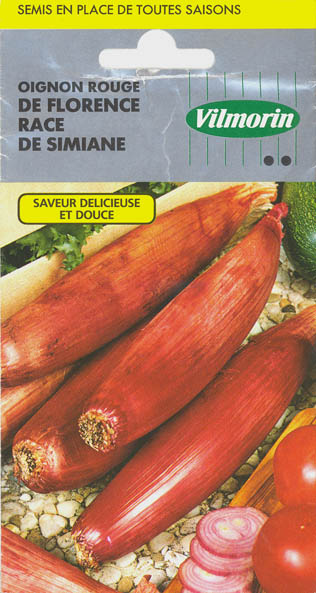 Kepalg, De Florence race de Simiane, Allium cepa </i>L.<i>