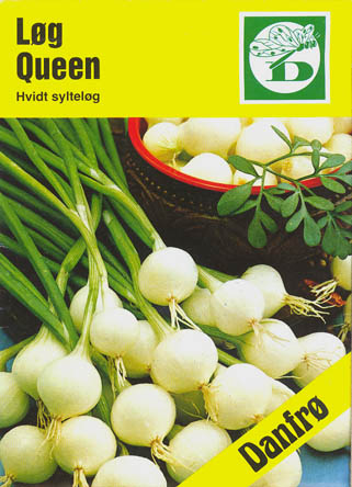 Kepalg, Queen, Allium cepa </i>L.<i>