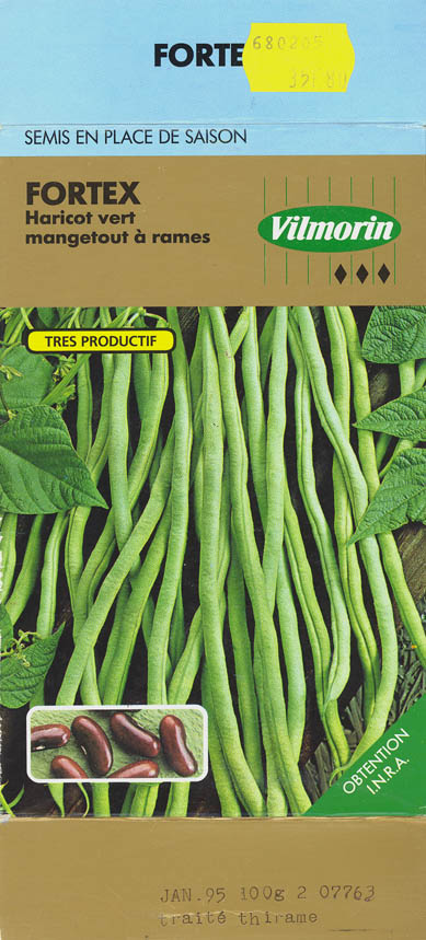 Havebnne, Fortex, Phaseolus vulgaris </i>L.<i>